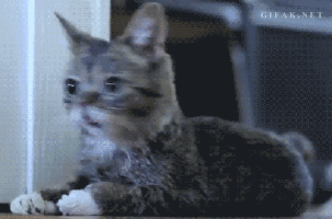 confused-gif-1
