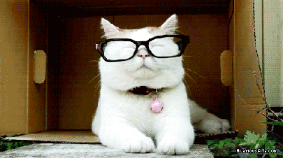 cat glasses