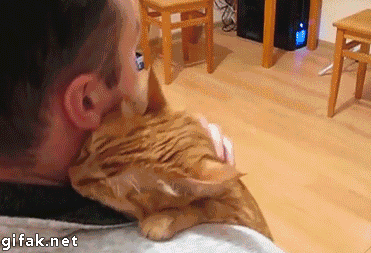 hugging cat